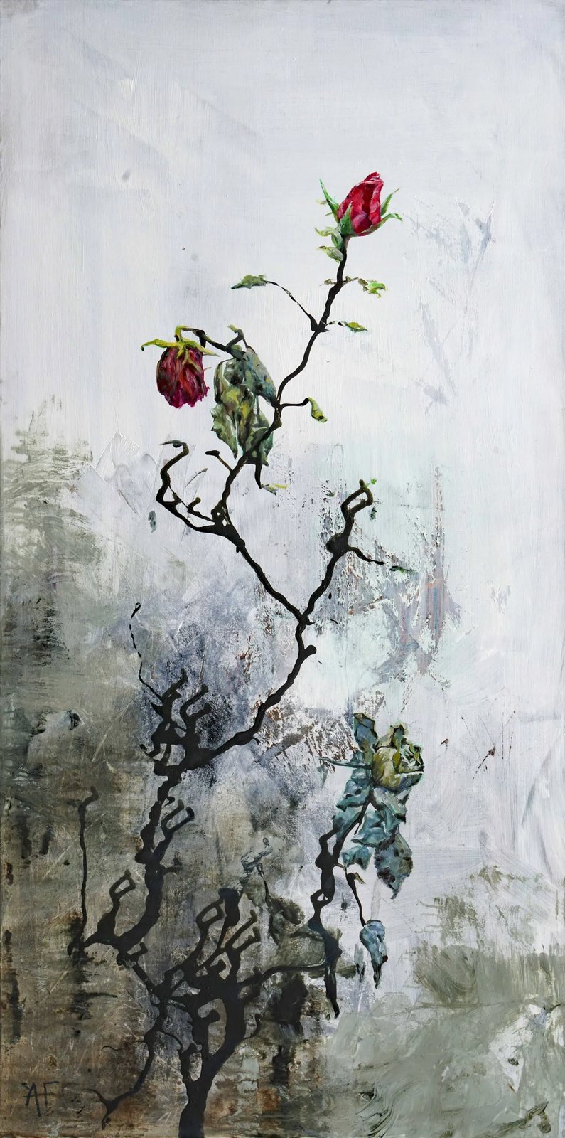 A solitary rose, the universe sealed inside