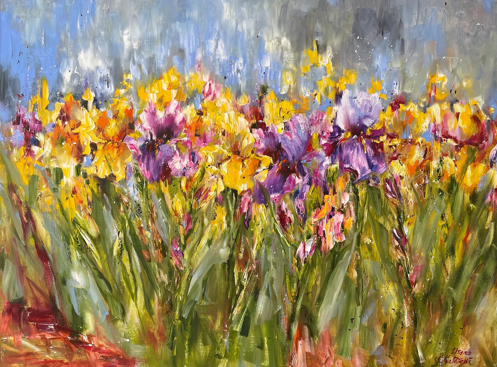 A field of irises in full bloom